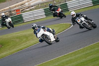 Middle Group White Bikes